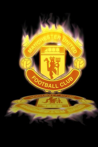 整个团队的 整个团队的